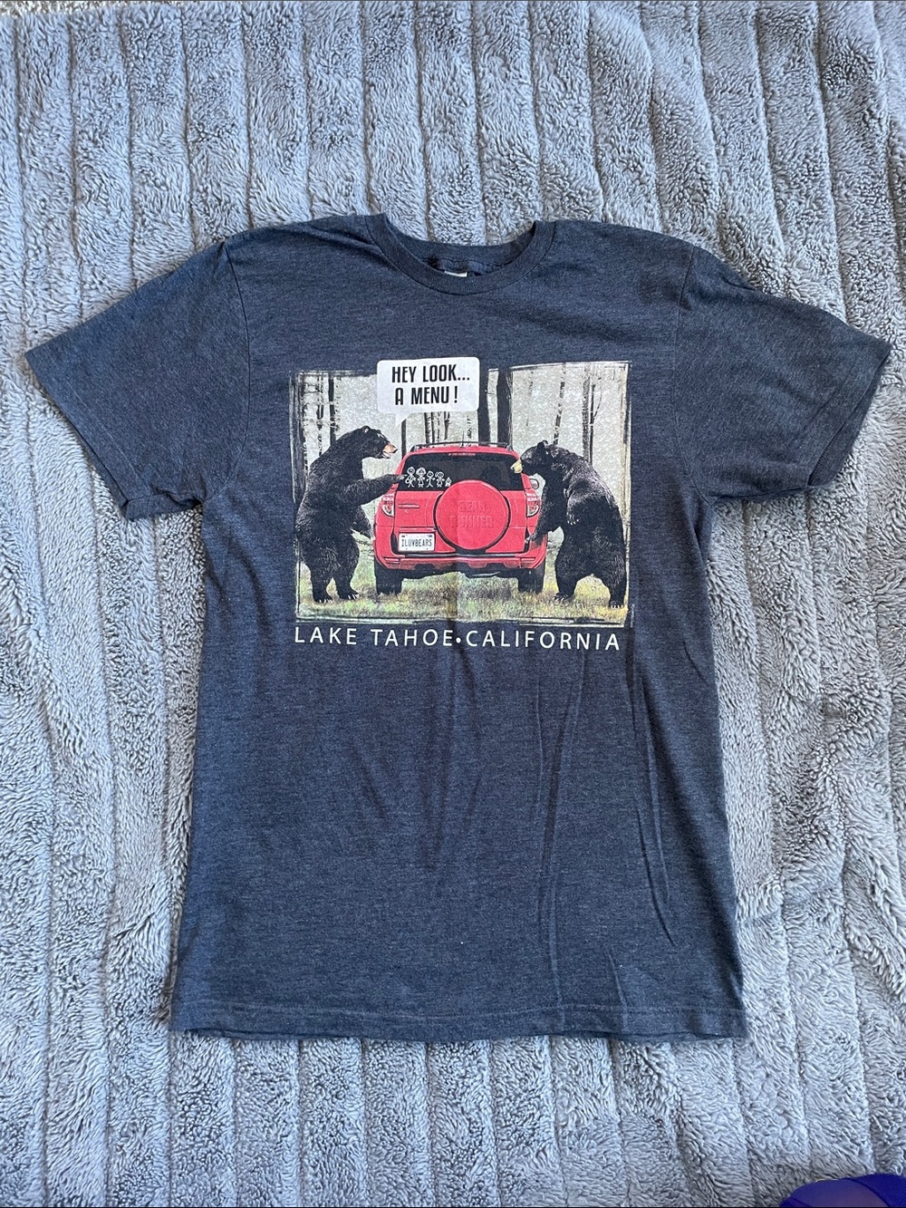 Lake Tahoe Toyota RAV4 graphic tee shirt